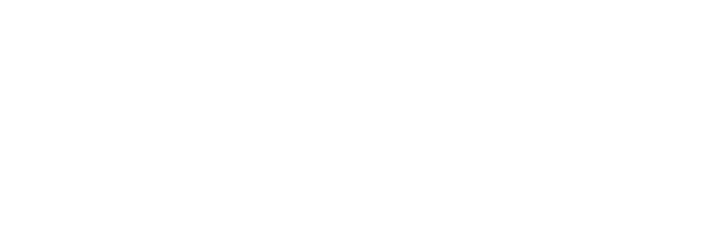 Visa debit
